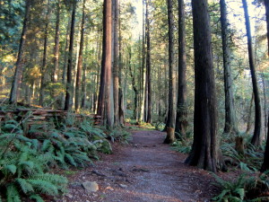 Admirality Point Trail