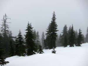 Ottomite Summit