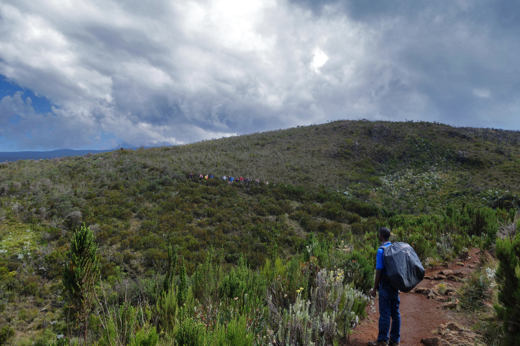 Marangu Route mt kilimanjaro
