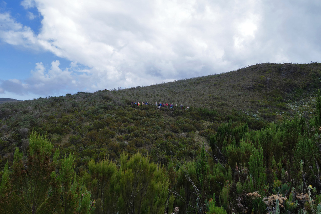 Marangu Route mt kilimanjaro