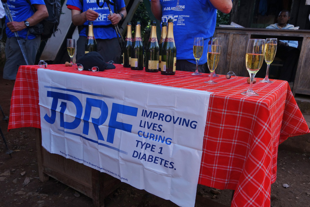 End of the Trek JDRF Marangu Route Mt. Kilimanjaro