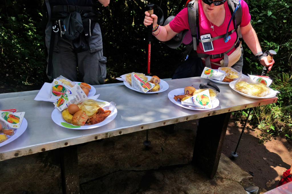 Lunch Stop marangu trail mt kilimanjaro