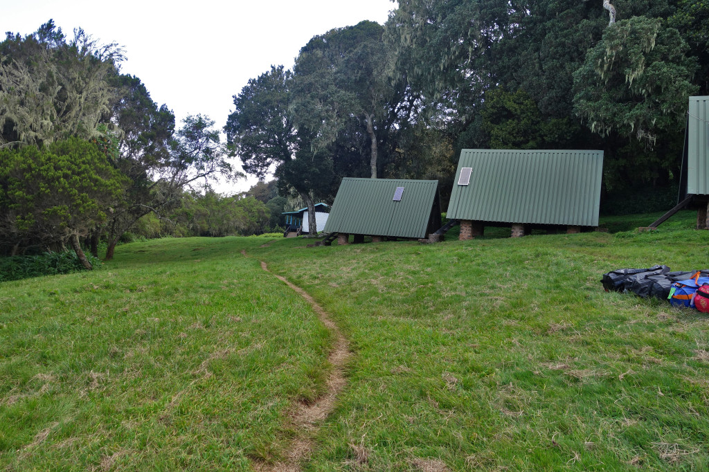 Mandara Huts marangu route mt kilimanjaro