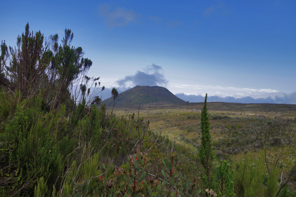 Marangu Route mt kilimanjaro