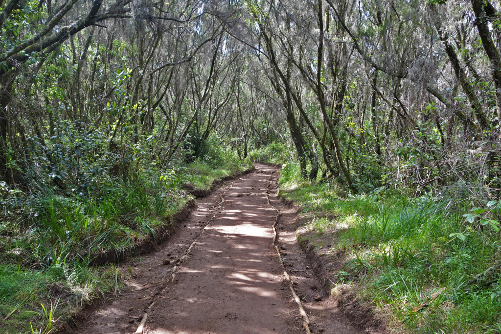 Marangu Route mt kilimanjaro Uhuru Peak