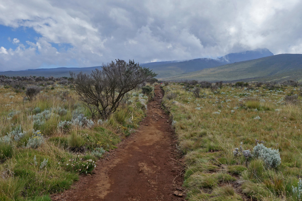 Marangu Route mt kilimanjaro