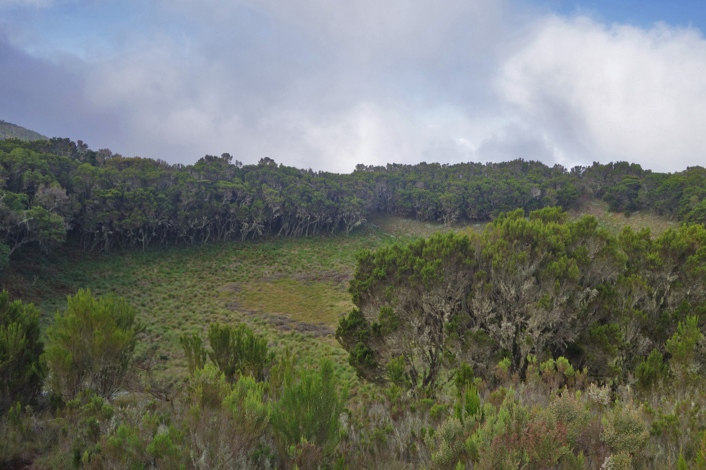 Maundi Crater marangu route mt kilimanjaro