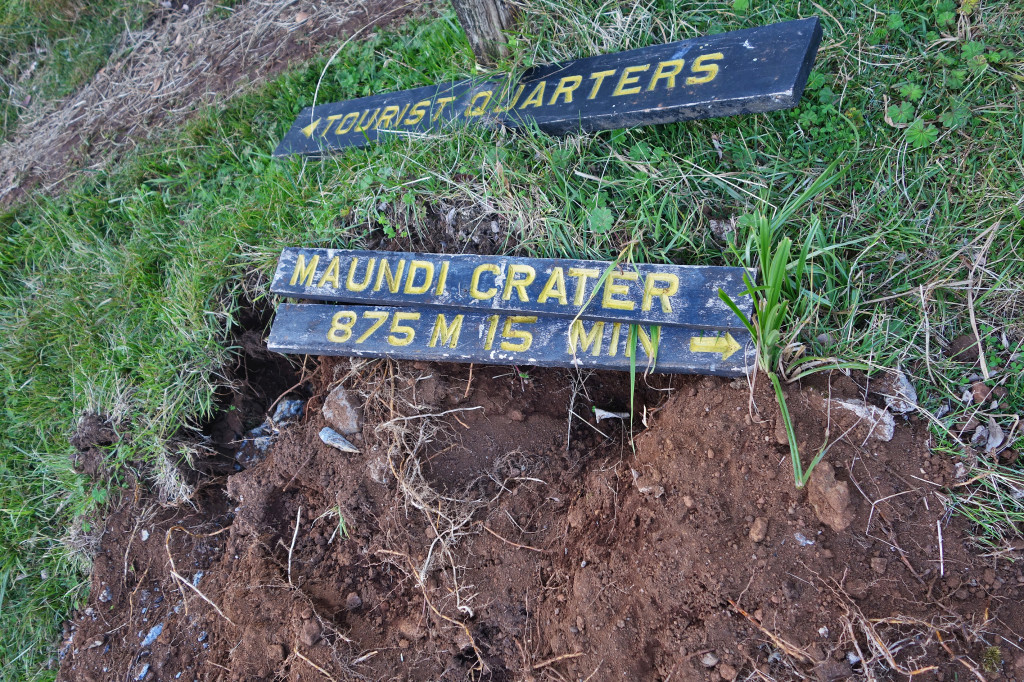 marangu trail maundi crater mt kilimanjaro