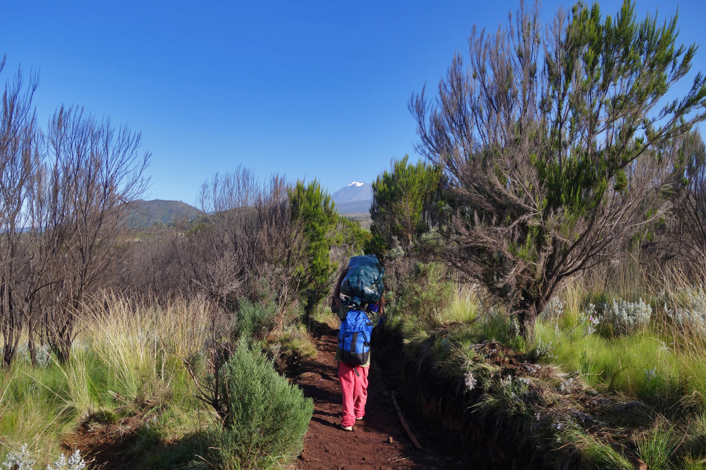 First Views of mt Kilimanjaro marango route