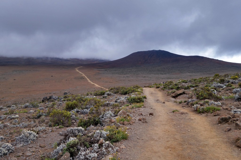 To Kibo Hut marangu route mt kilimanjaro