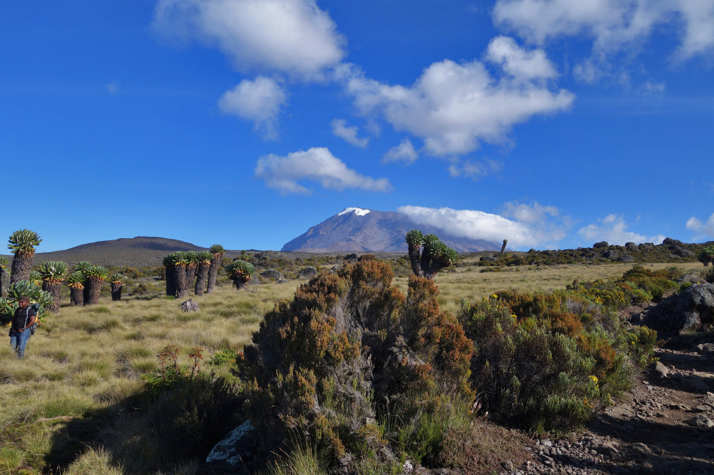 View of Kilimanjaro marangu route mt kilimanjaro