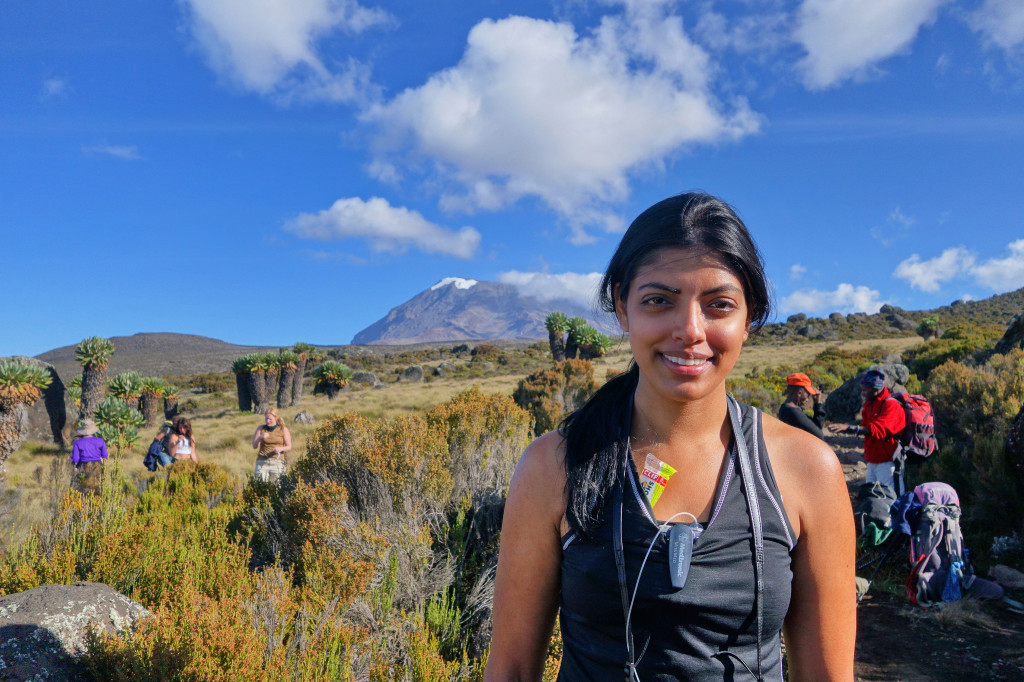 View of Kilimanjaro marangu route mt kilimanjaro