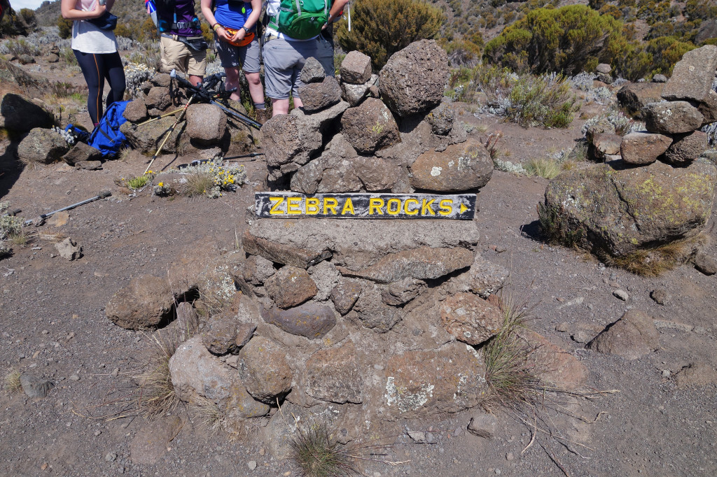 Zebra Rock marangu route mt kilimanjaro