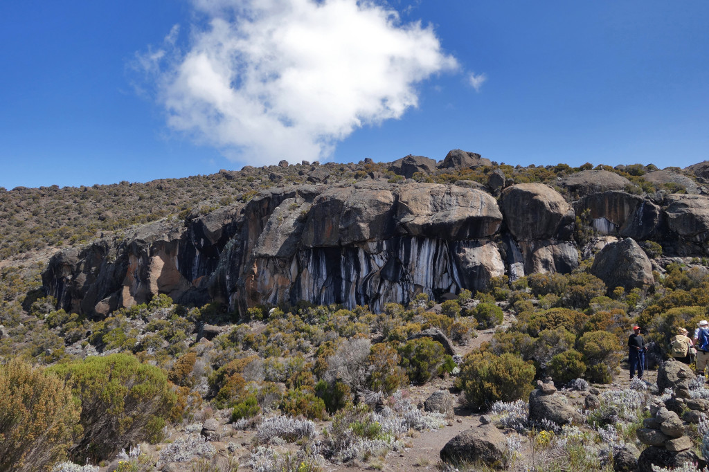 Zebra Rock marangu route mt kilimanjaro