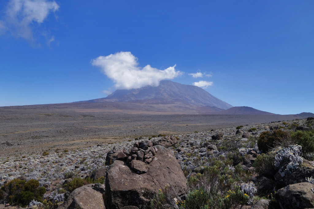 Zebra Rock marangu route mt kilimanjaro