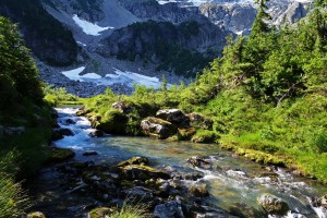 View from creek crossing