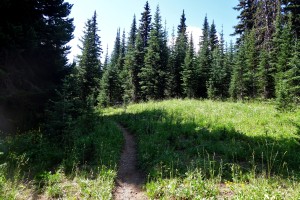 Along Frosty trail