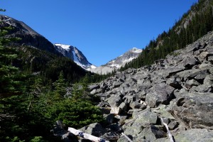 Boulder Field