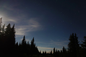 Manning Park night shots (2)