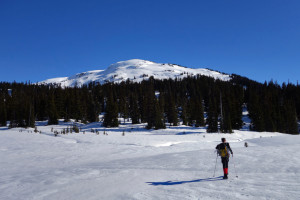 Approaching Panorama Ridge