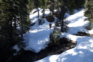 Crossing Taylor Creek