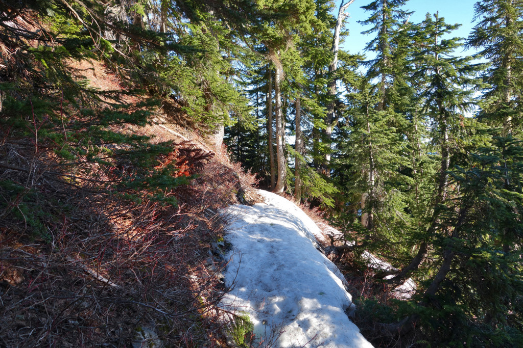 Howe Sound Crest Trail