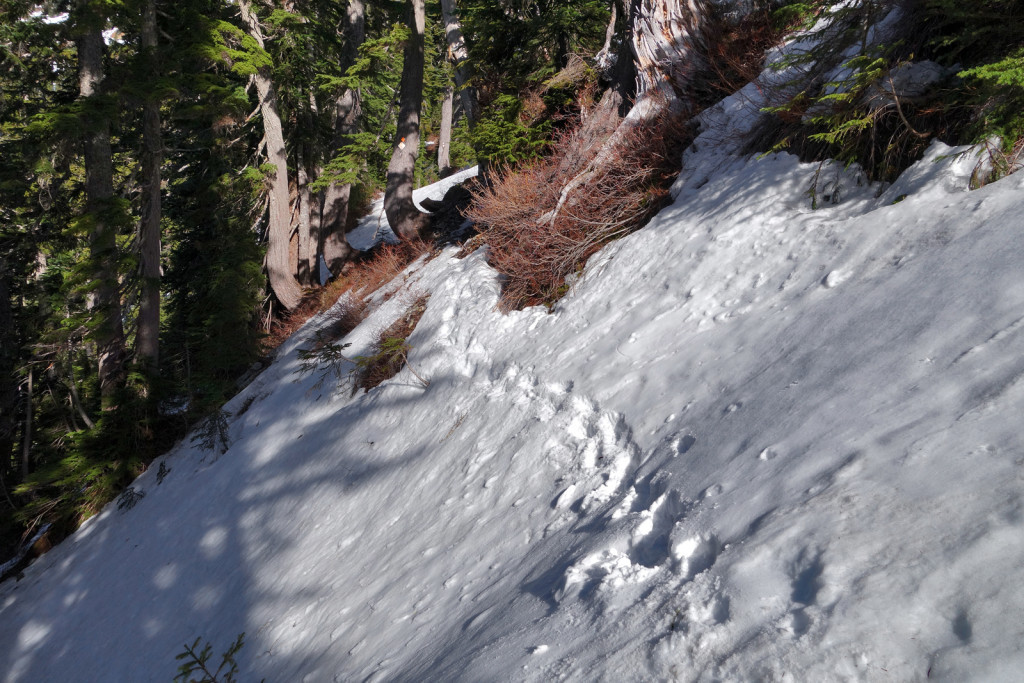 Howe Sound Crest Trail (3)