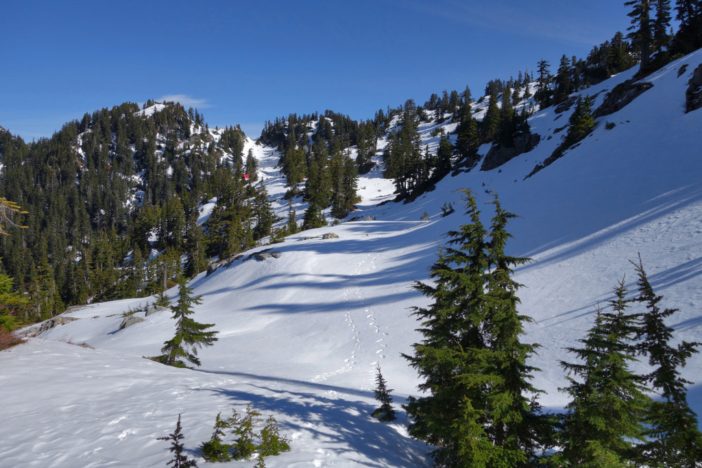 Looking back at Magnesia Meadows