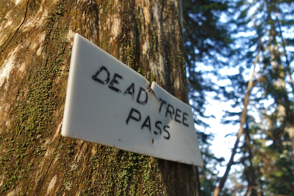 Dead Tree Pass, Eagle Ridge trail