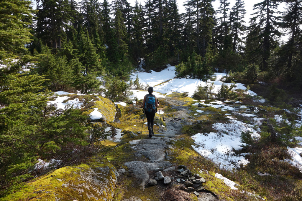 Descending Eagle Ridge and Approaching Hemlock Pass