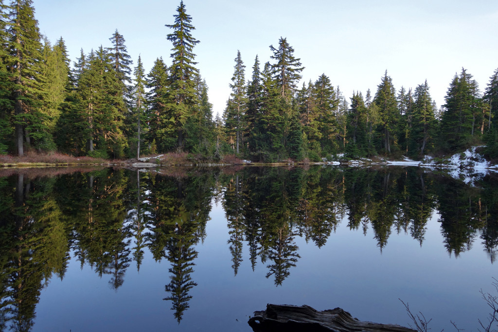 View of Lindsay Lake, joining up with the Lindsay Lake trail