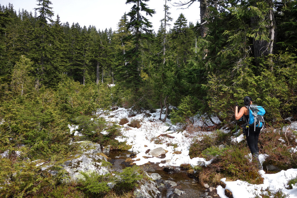 Hiking through the meadows along the Swan Falls trail