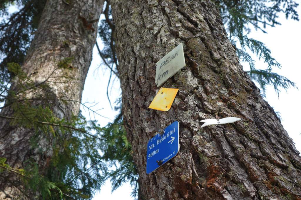 Last trail marker to the summit along eagle ridge