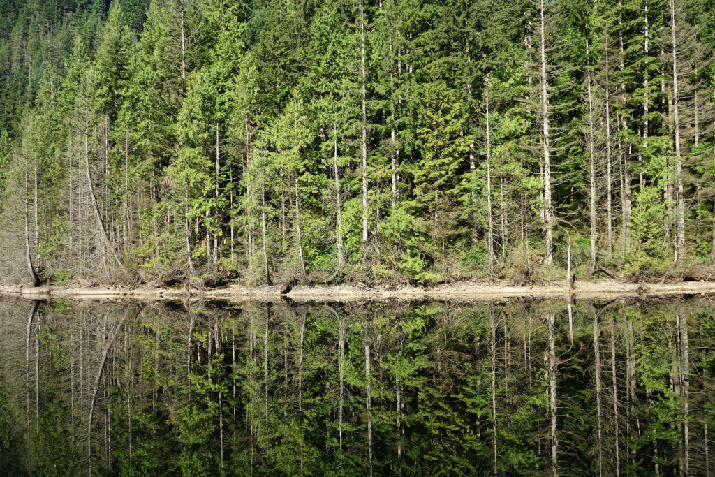 View of Buntzen Lake from the North Beach