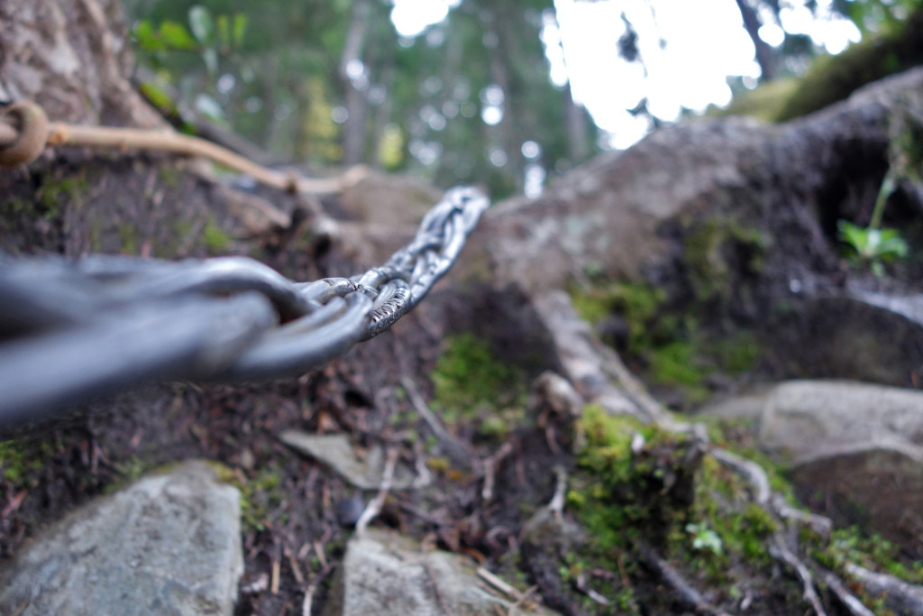 First set of ropes on the Swan Falls trail