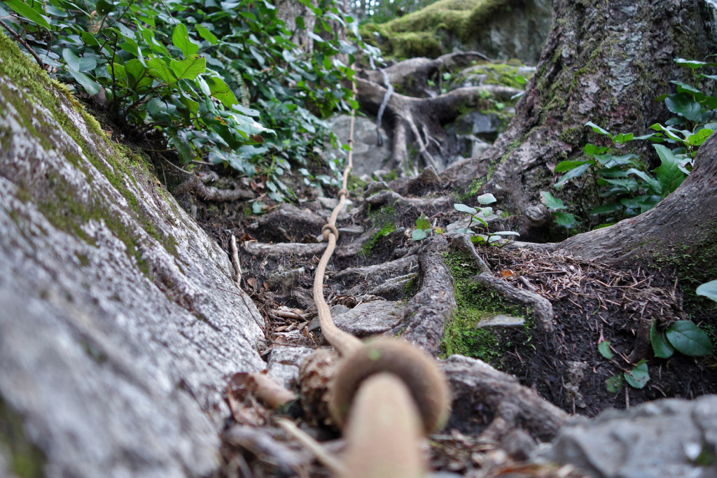 First set of ropes on the Swan Falls trail