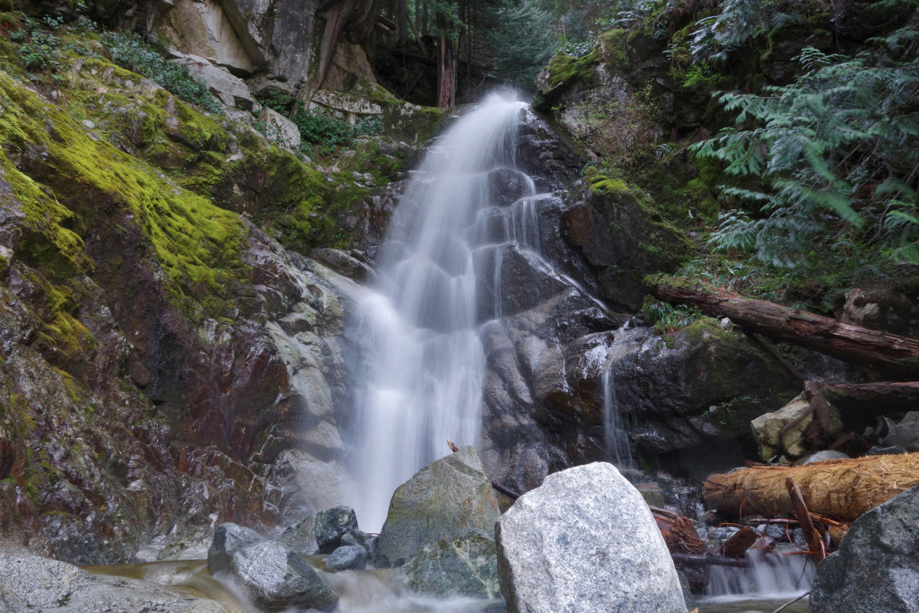 View of Swan Falls