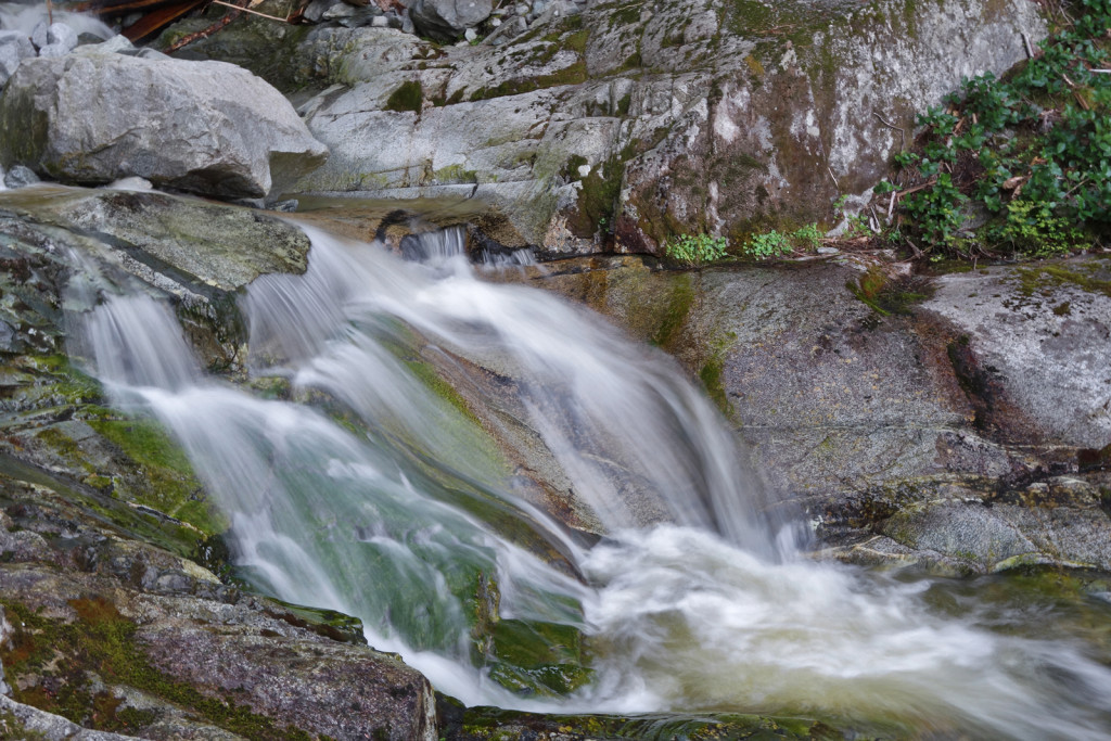 View of Swan Falls