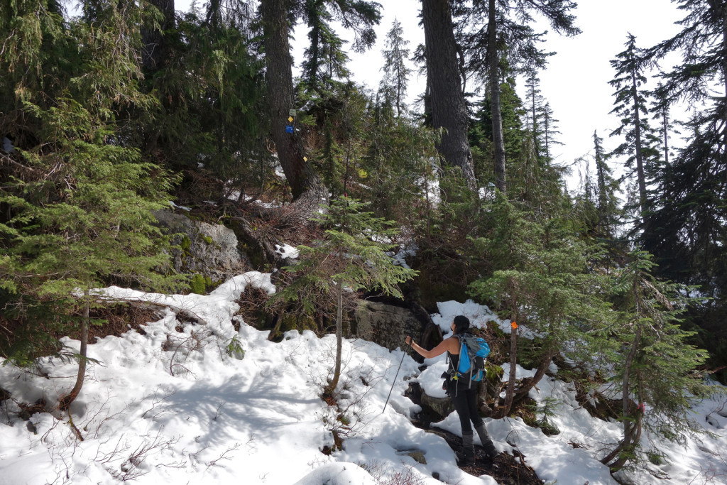 Nearing the Swan Falls junction and start of eagle ridge