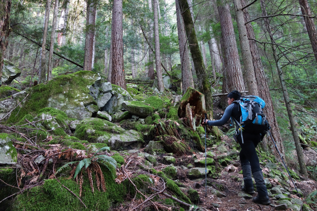 Start of the Swan Falls trail