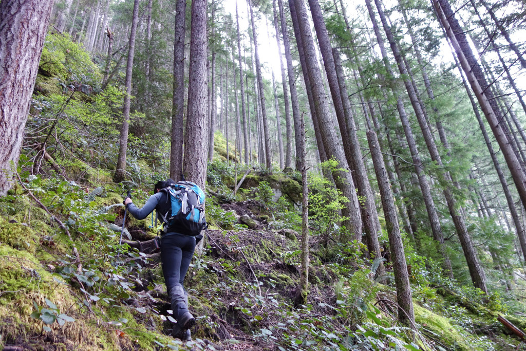 Start of the Swan Falls trail