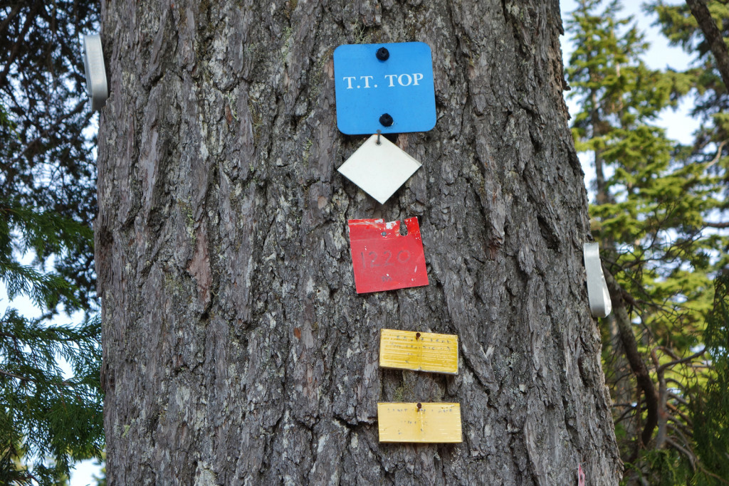 Sign for T.T. Top aka Tangled Top Mountain along Eagle Ridge