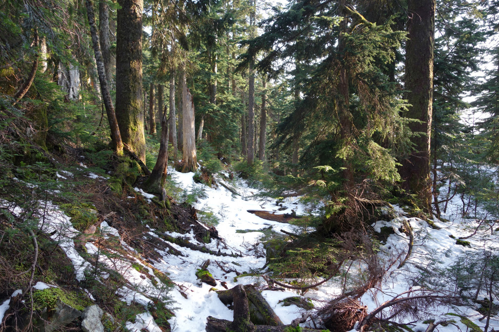 eagle ridge continuing through dead tree pass