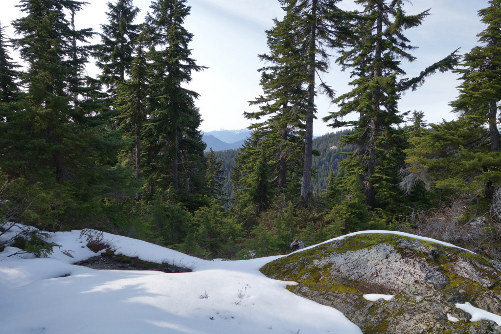 View from Hemlock Pass along eagle ridge trail