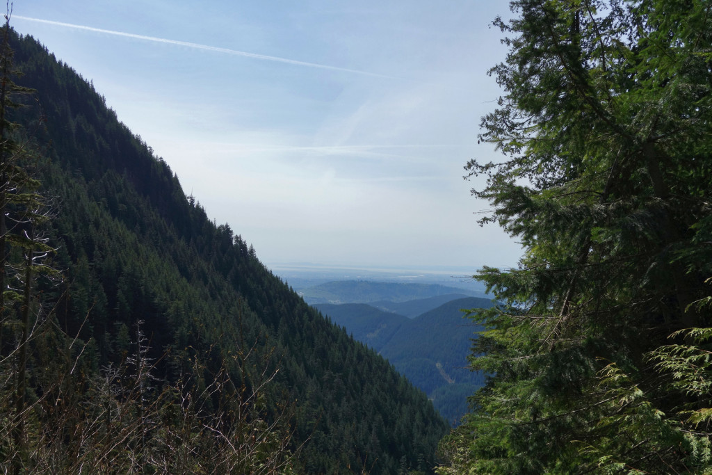 View from the Lower Gully of Swan Falls trail