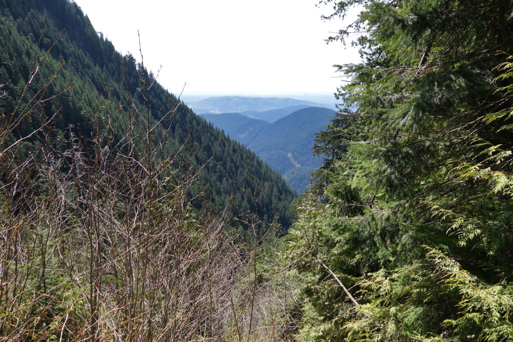 View from the Upper Gully on the Swan Falls trail