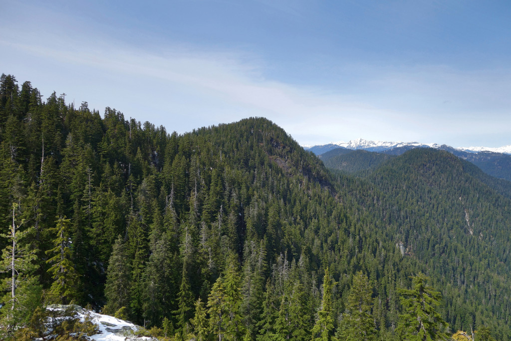 View of Dilly Dally Peak along eagle ridge