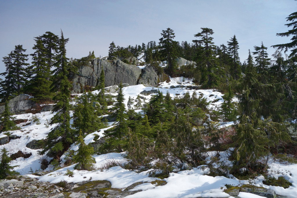 View of Mt. Beautiful along eagle ridge