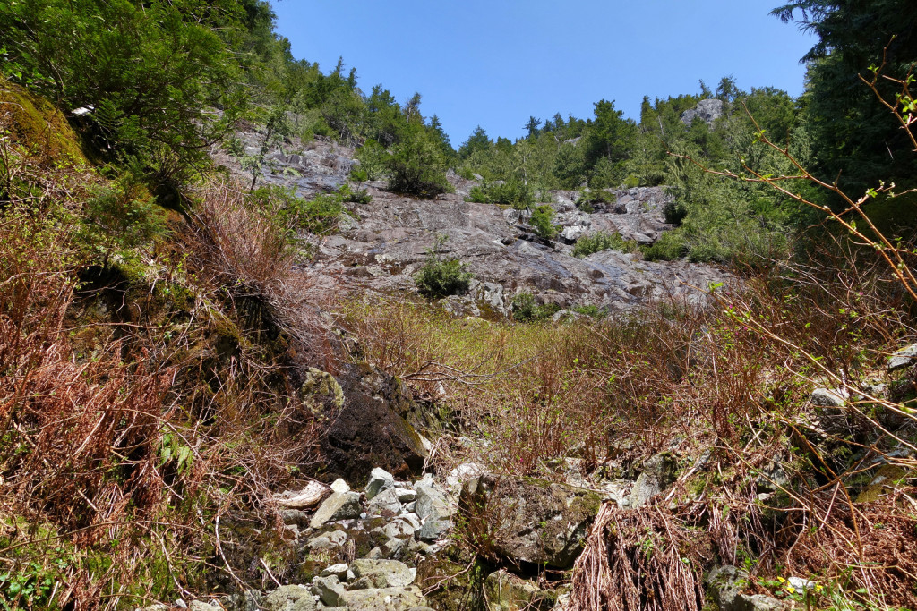 View of the Upper Gully on the Swan Falls trail