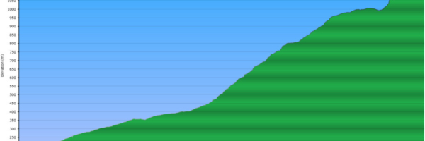 Elevation Profile of Evans Peak Trail